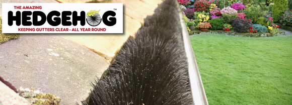 Hedgehog_Gutter_Brush